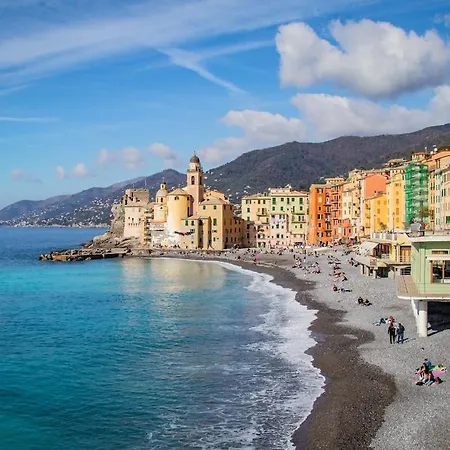 Center Near The Parking Ac Rapallo